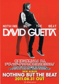 NOTHING BUT THE BEAT DAVID GUETTA